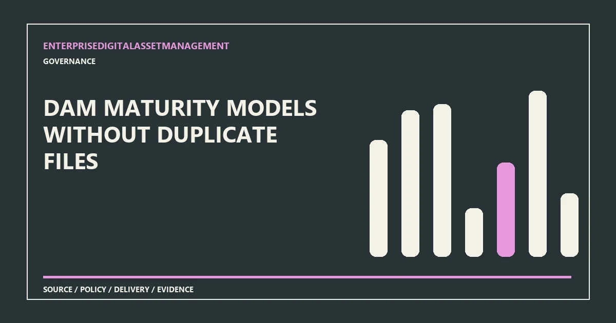 DAM maturity models without duplicate files